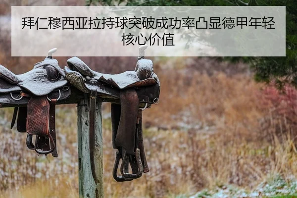 拜仁穆西亚拉持球突破成功率凸显德甲年轻核心价值
